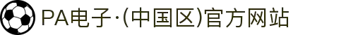 PA电子·(中国区)官方网站